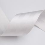 Colored PP Webbing 25mm Polypropylene Webbing Textile & Outdoor Use
