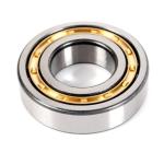 Radial Cylindrical Roller Bearings N216 N218 N220 N200 Series N205 N220