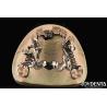 Buy cheap Customized Suppleness Metal Framework Dental Biocompatible Material from wholesalers