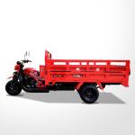 DAYANG 300cc Motorcycle Tricycle 5 3 Rear Spring Leafs Open Body Type Red Cargo