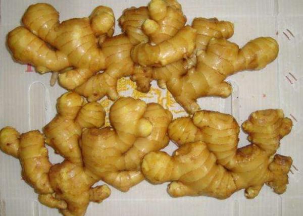 Buy cheap 6.5kg pack 200g Brightly Yellow Air Dried Ginger from wholesalers