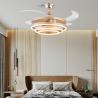 Buy cheap LED Fan Light Dining Room Living Room Bedroom LED with Electric Fan Light Invisible Ceiling Fan with Lights（WH-VLL-24) from wholesalers