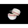 Buy cheap Dental All-on-6 Dental Implant Supported Dentures With Stability And Comfort from wholesalers