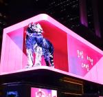 Waterproof Dip346 P10 Outdoor Led Display RGB Panel 160x160