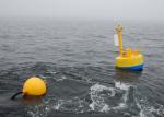 Marine Aids To Ocean Markers Buoys Cardinal Mark Buoy Free Of Maintenance