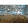 Buy cheap Broiler Poultry Prefab Houses Steel Structure Fully Automated Chicken Farming Equipment from wholesalers