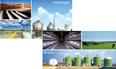 Portable Natural Gas Generator Natural Gas Generator for Sale