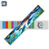 Buy cheap Fantastic 3D Lenticular Printing Ruler 0.9mm PET+157g Paper Material from wholesalers