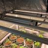 Buy cheap indoor 320watt Samsung LM301B Hydroponics Grow Light Osram 660nm from wholesalers