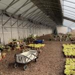 100.000kg Customization Flower Planting Drip Irrigation Vegetable Sunlight