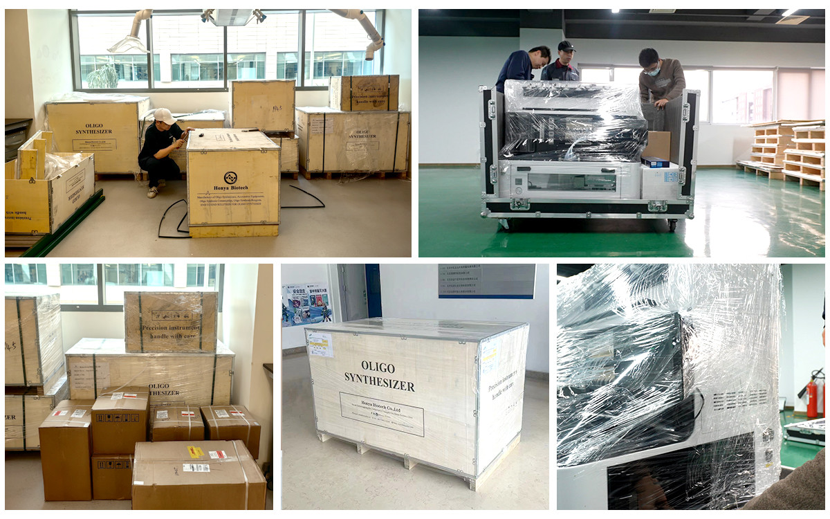 Middle Thoughtput Oligo Synthesizer for universities pharmaceutical filed with sequencing PCR