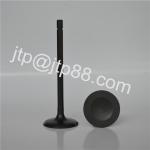High Performance Diesel Engine Valve For Nissan Car 13201-ED000 13202-ED000