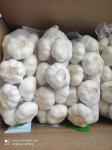 Natural China Fresh garlic Pure White normal white garlic