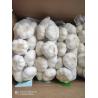 Buy cheap Natural China Fresh garlic Pure White normal white garlic from wholesalers