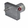 Buy cheap 70x54mm 20kg.Cm 111rpm DC Geared Motors Right Angle Gearhead Motor For Cigarette Machine from wholesalers