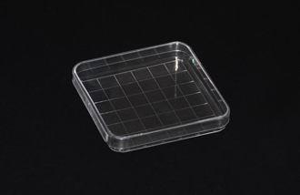 Buy cheap Plastic Petri Dish 100X15mm square shape from wholesalers
