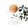Buy cheap Clear Bamboo Glass Spice Jar Containers Set Glass Food Storage jars For Kitchen from wholesalers