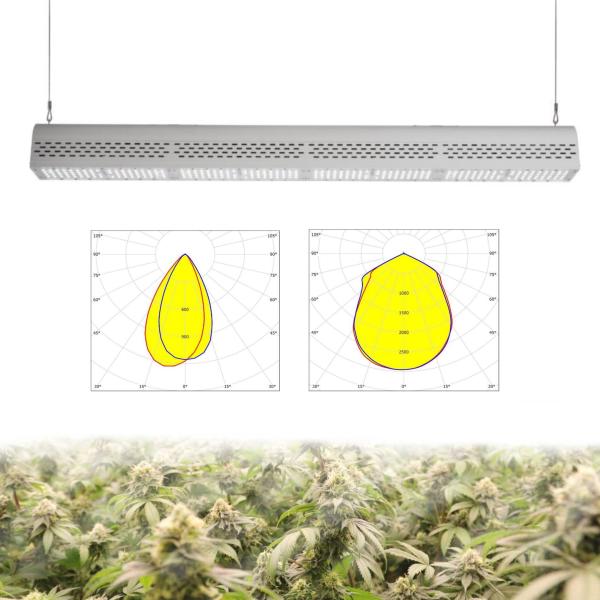 Buy cheap Indoor / Outdoor Plant Lights , High Penetration 200W 4 Foot Led Grow Lights from wholesalers