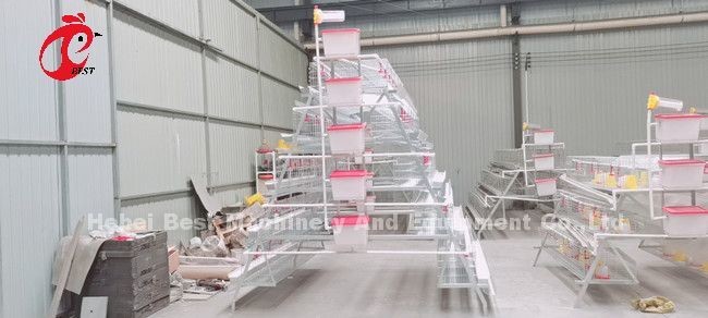 Deluxe 120 Birds Poultry Battery Cage System 5 Cells Galvanized Doris