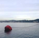 Oil Extraction PE Floating Ball Marine Mooring Buoy