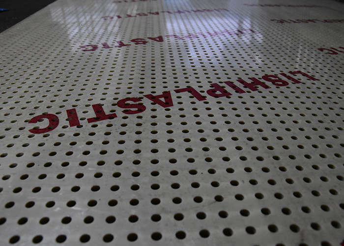 Clear Round Mesh Shape PVC PE PP Plastic Perforated Plate