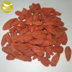 China supplier dried medlar wolfberry Dried wolfberry Himalayan fruit tea