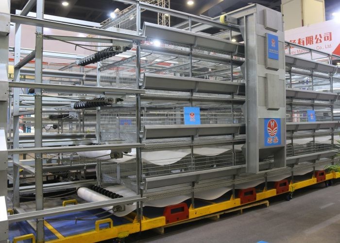 Professional Automatic Poultry Feeder System Chicken Feeder Equipment