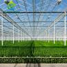 Buy cheap ODM Industrial Agricultural Glass Greenhouse from wholesalers