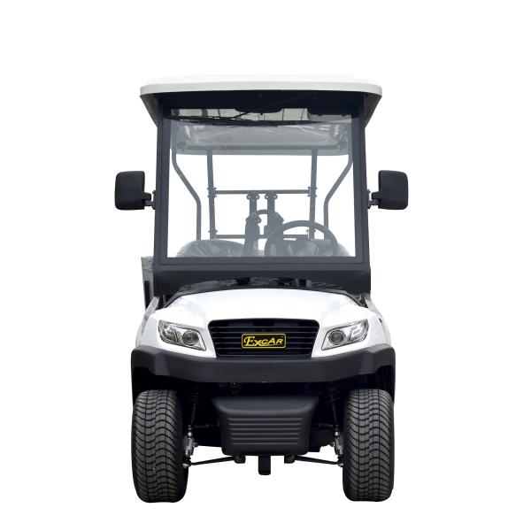 Buy cheap 4 Seats Electric Golf Car Sightseeing Car with Ladder for Disabled People Trojan Battery Curtis Motor Controller from wholesalers