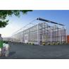 Buy cheap Venlo Tempered Glass Greenhouse Durable With Hydroponic Growing System from wholesalers