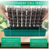 Buy cheap 40 Cell Seedling Starter Trays For Seed Germination , Garden Supplies Plant Growing Nursery Kits from wholesalers