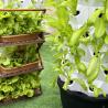Buy cheap 65L 10 Layer 80 Holes Growing System Hydroponic Vertical Farming Garden for Sale from wholesalers