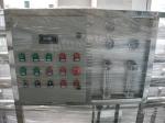 Custom Water Treatment Plant Reverse Osmosis Filter System 250LPH
