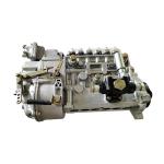 Heavy Construction Machinery Engine Parts CP61Z-P61Z616BP5B5 Fuel Injection Pump