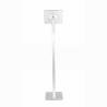 Buy cheap COMER advertising display brackets locking stand for tablet ipad in shop, hotels, restaurant from wholesalers