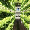 Buy cheap 18000.000kg Container House for Growing Green Leafy Veggies Return refunds Guaranteed from wholesalers