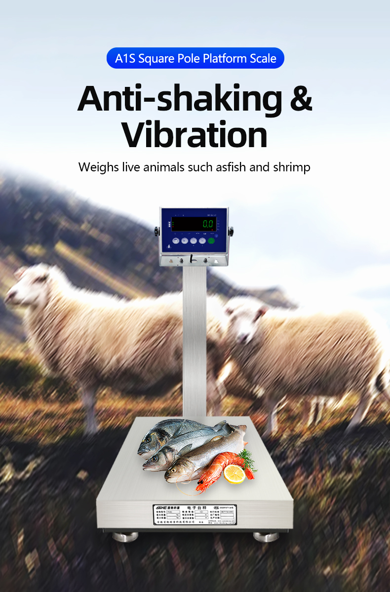 Weighing A1S Square Pole Industrial Platform Scale 60cm*80cm Stainless Steel Waterproof