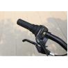 Buy cheap Girls Steel Frame Child Bike With Suspension Fork And NO Training Wheels from wholesalers