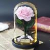 Buy cheap Wholesale Price beauty and the beast roses preserved roses in glass dome Fresh flower rose from wholesalers