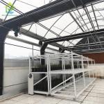Automated Mushroom Growing Light Deprivation Blackout Agricultural Greenhouse