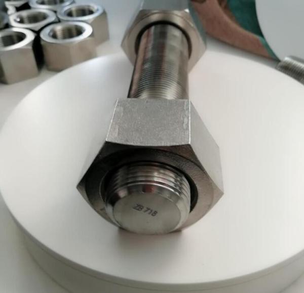 Buy cheap Inconel 718 Uns N07718 Din2.3668 Hex Head Bolts 2205 Grade from wholesalers