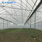 Large Size Plastic Film Greenhouse / Agriculture Greenhouse 20m - 100m Long