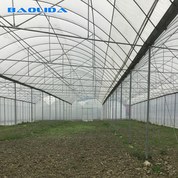 Buy cheap Large Size Plastic Film Greenhouse / Agriculture Greenhouse 20m - 100m Long from wholesalers