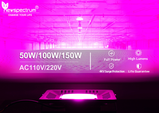 Full Spectrum Light Bar Module 150W IP65 Waterproof LED Grow Light