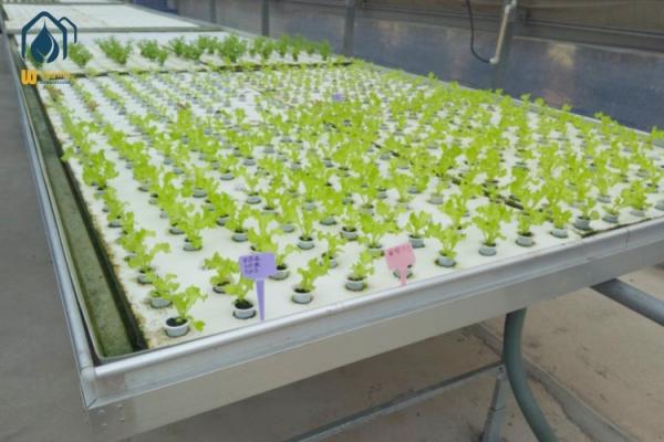 Buy cheap Flood Water Drain Grow Ebb And Flow Rolling Benches ABS Tray Hydroponic Planting Equipment from wholesalers