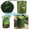 Buy cheap garden plant/ patato/vegetable grow bags,2gallon hotsales fabric pots grow bags for plant flower grow bag plant potato o from wholesalers