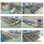 Fully Automatic Fried Potato Flakes Chips Making Machine for 2 KG Frozen Fries