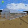 Buy cheap 8x30m Tomato Poly Tunnel Greenhouse 150-200micron Plastic Film Tomato Greenhouses from wholesalers