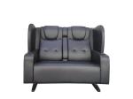 Metal Frame Cinema Lover Chair Theatre Couple Seat