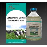 Buy cheap Liquid Injection Cefquinome Sulfate Suspension 2.5% Item NO.:LI024 product